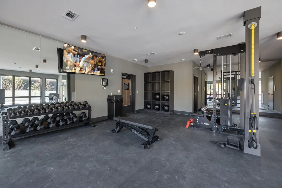 A modern gym interior with a dumbbell rack, weight bench, exercise machine, and a television screen. The space feels motivating and well-equipped, ideal for both solo and group workouts.